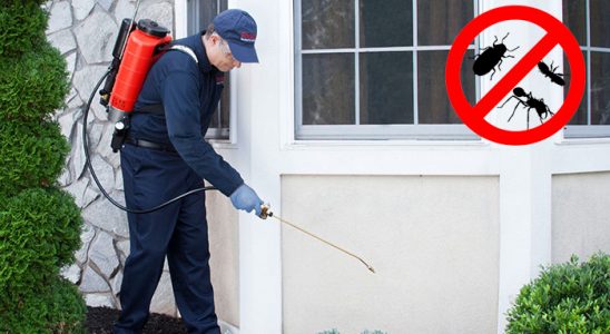 Narman Hamam Böceği İlaçlama böcek ilaçlama ve haşere kontrolü — ilaclama-tr.com